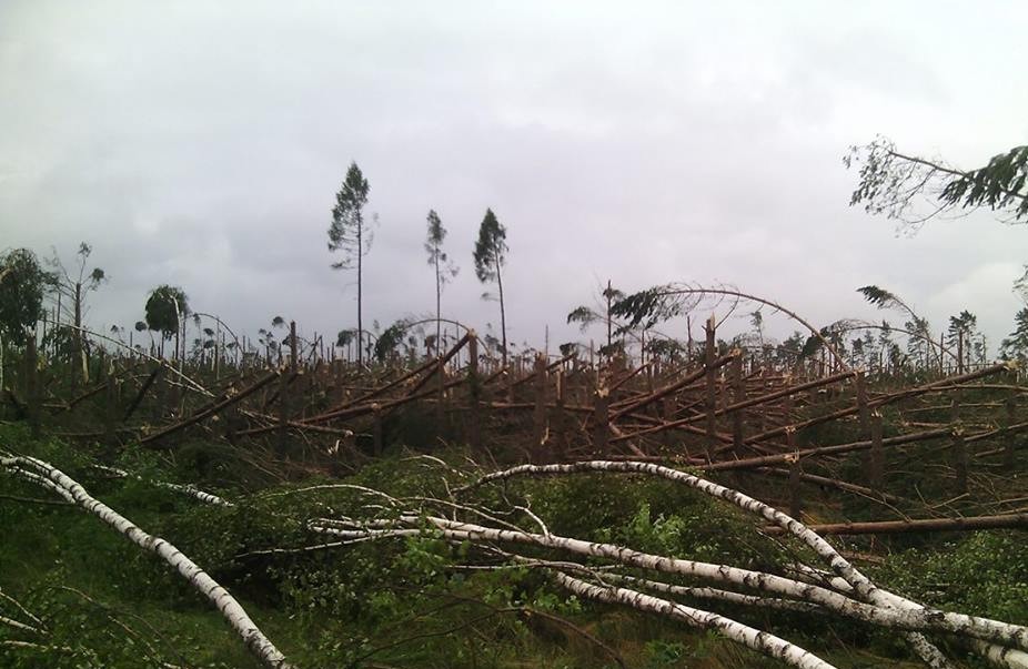 Pomoc dla poszkodowanych przez nawałnicę
